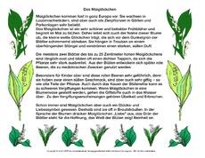 Abschreibtext-Maiglöckchen.pdf